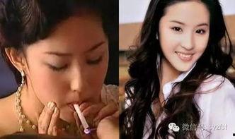 吃瓜娱乐圈神仙姐姐免费阅读,神仙姐姐的免费瓜田之旅