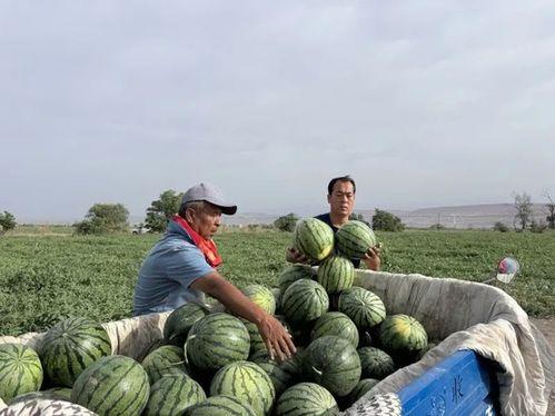 五一吃瓜网最新官网入口,揭秘五一热门话题，尽享娱乐盛宴！