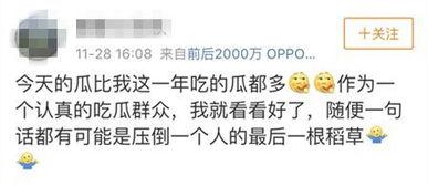 吃瓜娱乐全网收集,吃瓜娱乐，揭秘娱乐圈幕后故事